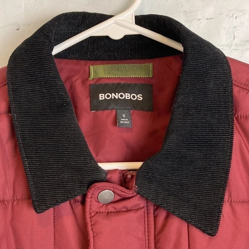 Bonobos lined small bundle